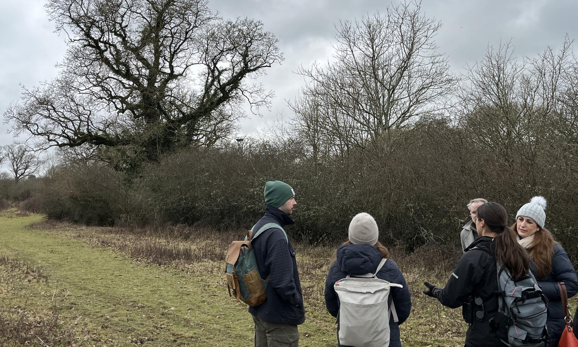 Five people stand in a field conducting research for the REWILDlife project. One is speaking whilst the others listen.