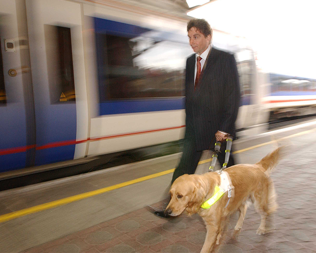 01_ft_GuideDogs_1.png feature image