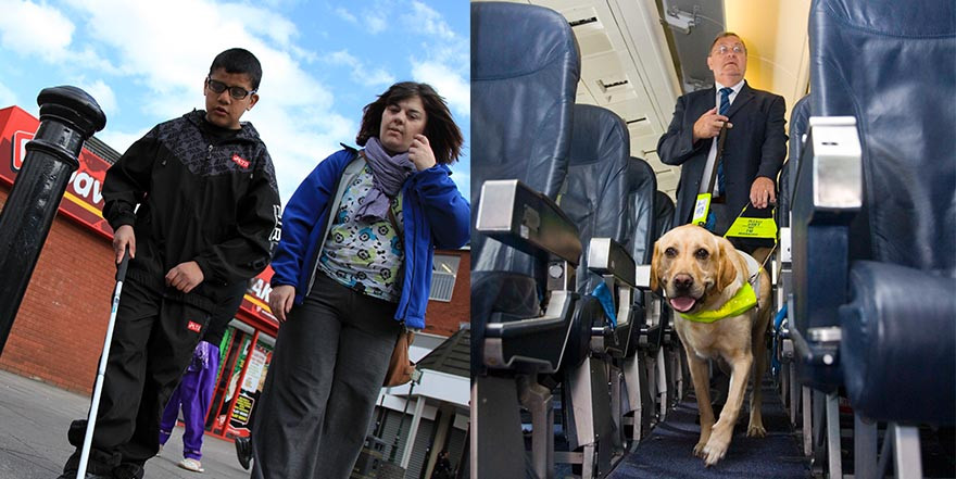 Slider_GuideDogs_03_1.jpg feature image