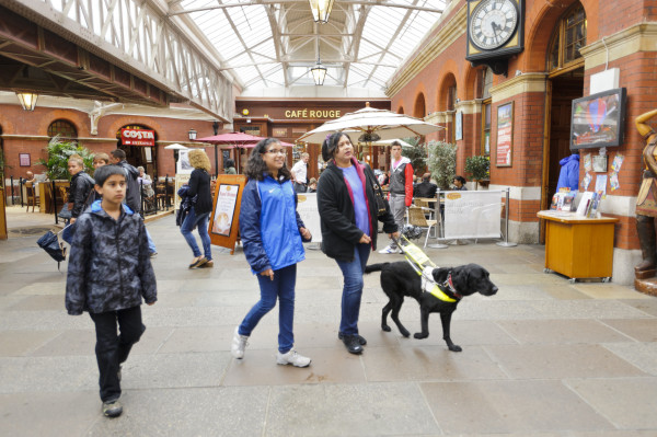 Guide Dogs for the Blind Association feature image
