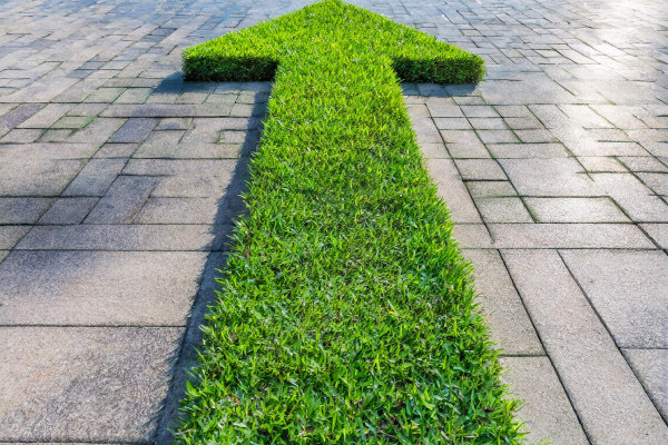 A patch of grass in the shape of a single arrow cover image
