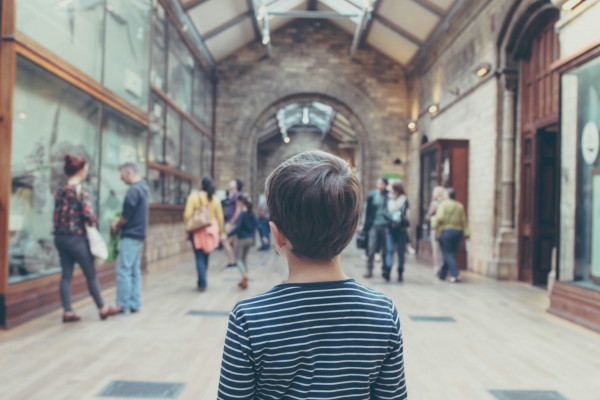 A young boy stands in an museum exhibition hall surrounded by exhibits in glass cases cover image